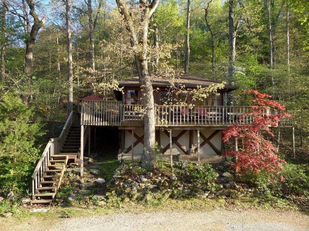 فيلا يوريكا سبرينغزفي Lake Lucerne Treehouse المظهر الخارجي الصورة